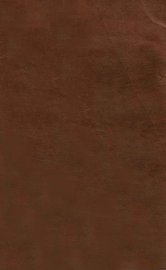 善邻国宝记 - 封面图