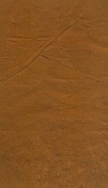 太祖高皇帝实录稿本三种  丙 - 封面图