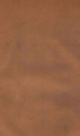 宣统政纪  卷33-34 - 封面图