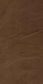 徐昭法先生年谱 - 封面图