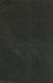 番汉合时掌中珠  恆农 - 封面图