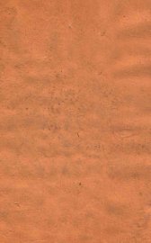 伤寒补亡论  卷16-20 - 封面图