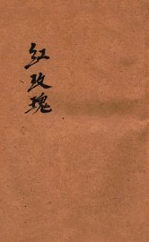 红玫瑰 - 封面图
