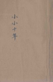 小小十年  长篇小说  下 - 封面图