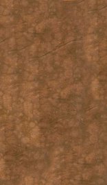 石卢藏镜目 - 封面图