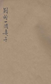 别的一个妻子  美国现代短篇选集 - 封面图