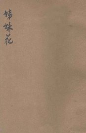 姊妹花  电影小说 - 封面图