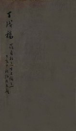 丁戊稿 - 封面图