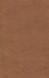 也是园藏目  卷5-10 - 封面图