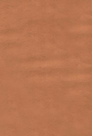 鸣沙石室佚书  上 - 封面图