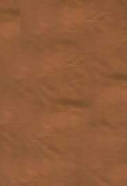 敦煌本古文尚书 - 封面图