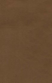 颐志斋文钞 - 封面图