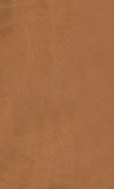 世补斋医书  女科卷上中下 - 封面图