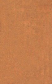 医林指月  侣山堂类辩  上下 - 封面图