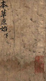 本草原始  下 - 封面图