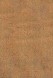 考订朱子世家 - 封面图