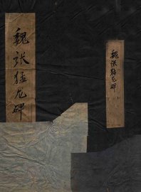 魏张猛龙碑 - 封面图