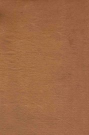 难经集义 - 封面图