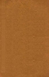 崇祯惨史 - 封面图