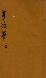 孽海梦  上 - 封面图