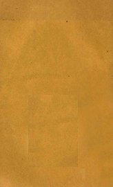 紫洞艇 - 封面图