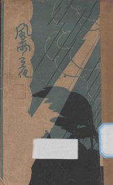 风雨之夜 - 封面图