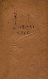 草丛中 - 封面图