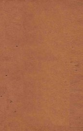 沙乐美 - 封面图