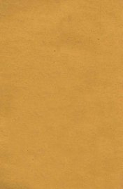 牝贼情丝记  上 - 封面图