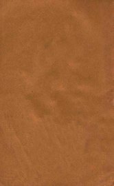 金河王 - 封面图