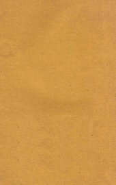 战士的新娘 - 封面图