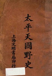 太平天国野史 - 封面图