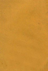 西湖博览会指南 - 封面图