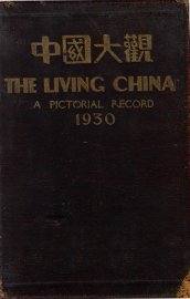 中国大观图画年鉴  1930 - 封面图