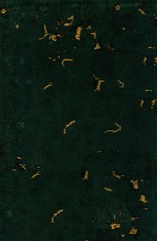 长安史迹考 - 封面图