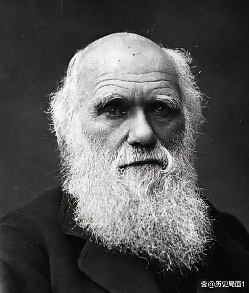 达尔文 - 封面图